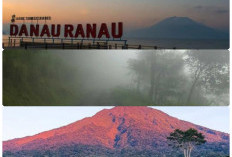 Liburan ke 2 Tempat Wisata di Sumsel Ini, Tawarkan Suasana Sejuk  dan Pemandangan Aduhai