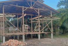 Bumdes Sukamerindu Bangun Kandang Ayam Petelur untuk Perkuat Ketahanan Pangan Desa