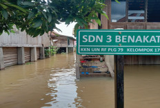 Sekolah Terkena Dampak Banjir Diliburkan 