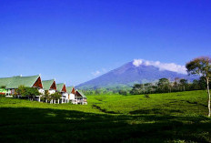 13 Villa Hits di Pagaralam dengan View Gunung Dempo dan Kebun Teh, Nomor 9 Bikin Penasaran!
