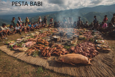 Penjelasan Singkat Tentang Narasi Pesta Babi 