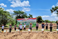 Kolaborasi Wujudkan Ketahanan Pangan Melalui Program Penanaman Jagung