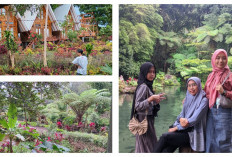 Green Paradise, Objek Wisata All In One di Pagaralam untuk Keluarga Tercinta