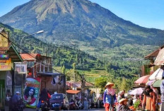 Melihat Keindahan Pasar Tradisional Kejajar Wonosobo Memukau Wisatawan