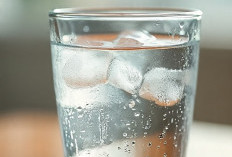 6 Minuman Alami Penghancur Asam Urat