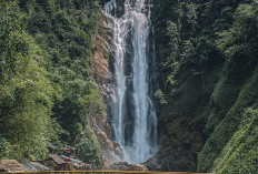 5 Keistimewaan Air Terjun Bedegung, Curup Tenang Setinggi 99 Meter yang Bikin Wisatawan Takjub