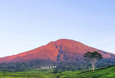 Lagi Liburan di Sumsel, ini Rekomendasi Wisata Instagramable untuk Kamu!