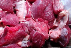 Penderita Darah Tinggi Boleh Makan Daging Kambing Tapi Ada Syaratnya