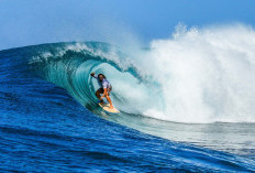 Kepulauan Mentawai: Surga Eksotis bagi Wisatawan dan Peselancar  