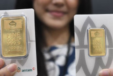 Harga Emas Anjlok ke Rp1,9 Juta: Peluang Emas bagi Investor?