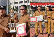 Lomba Perpustakaan Desa Tingkat Daerah, Pemdes Tebat Agung Juara I, Keban Agung Juara II