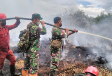 Babinsa Koramil Gelumbang Bersama Tim Gabungan Sigap Padamkan Karhutla di Sukajadi