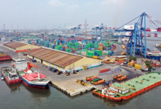Pelabuhan Baru Palembang: Menuju Pusat Logistik Internasional, Sumsel Jadi Pemain Utama Perdagangan 