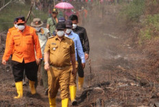 20 Hektar Hutan dan Lahan di Sungai Rotan Terbakar