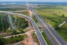 Tol Raksasa Mengubah Wajah Sumsel: Dari Jalan Beton ke Mesin Ekonomi Masa Depan