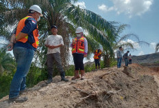 Tertimbun Disposal PT RMKO, Ratusan Batang Sawit Warga Terancam Mati