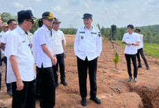 Bupati Cek Kesiapan Lahan Pembangunan Sekolah Rakyat
