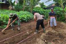 Bhabinkamtibmas Dorong Ketahanan Pangan Warga