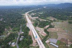 Aspal Menuju Arah Baru: Ketika Tol-Tol Sumsel Tak Sekadar Jalan, Tapi Strategi Menulis Ulang Ekonomi