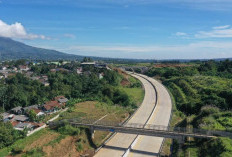  5 Kota Sumsel Masuk “Jalur Emas” Tol Trans Sumatera: Siap Jadi Poros Ekonomi Baru?