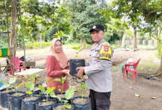 Kontrol Pemanfaatan Pekarangan Rumah untuk Ketahanan Pangan