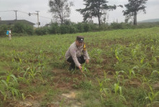 Dorong Warga Tingkatkan Ekonomi Lewat Ketahanan Pangan