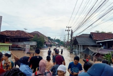 Warga Lansia, Ibu Hamil dan Anak-anak Dievakuasi Akibat Ratusan Rumah Terendam Banjir  