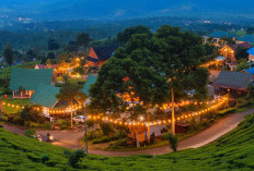 Liburan Menyejukkan di Kaki Gunung Dempo: Hangatkan Liburan Tahun Baru 2026 di Villa Besemah