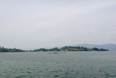 Wow! Inilah 7 Fakta Pulau Samosir dengan Keunikan Mendunia, Nomor 1 Langka, Cocok untuk Liburan?