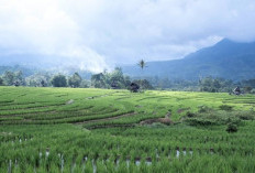 Gak Nyangka! 3 Kecamatan Ini Dingin Banget, Tidur Harus Pakai Selimut!