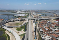 4 Tol Baru di Sumsel: Jalan Beton yang Diam-Diam Jadi Mesin Uang & Magnet Investor