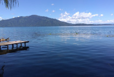 Liburan Adem di Sumsel: 2 Wisata Sejuk Ini Cocok Buat Healing & Buru Foto Instagramable!