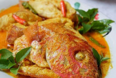 Lezatnya Gulai Kepala Kakap, Ini Resep Cara Membuatnya