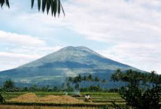 Keindahan Alam Sumsel dengan Hawa Sejuk dan Pemandangan Menawan di Gunung Dempo  