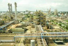 Mewujudkan Sumsel yang Hijau,  Berdaya Saing Global dan Investasi untuk Masa Depan Berkelanjutan