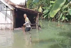 Evakuasi Korban  Rumahnya Terendam Banjir