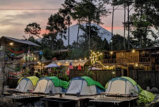 Bosan Hotel? Coba Glamping di Pagar Alam, Bisa Ngopi di Hammock atau Tidur Dekat Sungai!