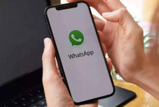 Mulai 8 September 2026, WhatsApp Tak Bisa Dibuka di HP Ini, Cek Sekarang