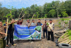 PTBA Ubah Lahan Bekas Tambang Ilegal Jadi Kawasan Pertanian Produktif