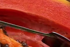 Hindari Konsumsi Pepaya Bersamaan dengan Makanan Berprotein Tinggi
