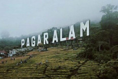 Pesona Pagaralam: Kota Dingin dengan Spot Gunung Dempo yang Bikin Liburan Tak Terlupakan!