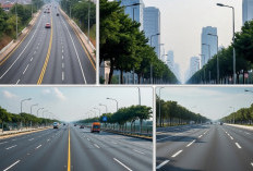 4 Provinsi Menerima Dampak Ekonomi dari 4 Ruas Tol Baru di Sumsel