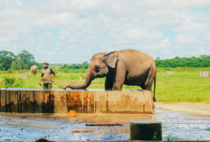 3 Wisata Keren yan Wajib Kamu Kunjung di Lampung 