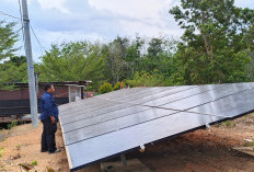 Energi Matahari Jadikan Nyala Terang Danau Shuji, Dulu Bekas Sampah Kini Jadi Desa Energi Berdikari