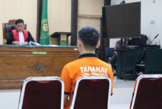 Adik Bos Tambang Batubara Ilegal  Divonis Separuh dari Tuntutan Jaksa