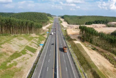 Jalan Tol Sumsel : Konektivitas, Investasi, dan Masa Depan