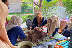 Ajari Tekhnik Mengelola Tanah,  PT Pertamina EP Membangun Kejayaan Pertanian Wanita di Prabumulih