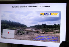 Sumsel Menarik bagi Investor hingga Berinvestasi Puluhan Triliun karena?