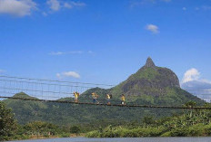 Cuma Rp5.000! Bukit Unik Berbentuk Jempol di Sumsel Ini Tawarkan Pemandangan Spektakuler