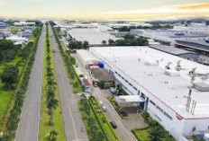 Sumsel Jadi Magnet Investasi! 15 Proyek Strategis Nasional Dongkrak Ekonomi Regional dan Nasional